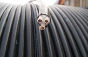 Fil de cuivre noir à 3 conducteurs